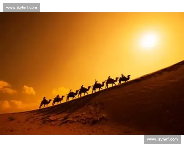 沙漠驼队激烈竞速赛场风云精彩瞬间全记录